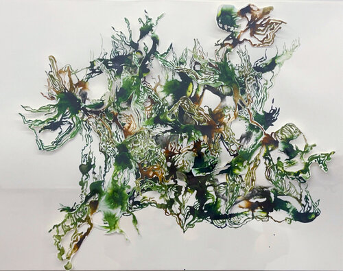 EPIPHYT I by Sabine Hilscher, Work on Paper for Sale on Singulart