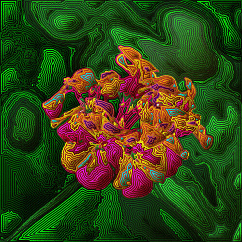 Flor 502 von Juan Diego Quintero López, Digital kaufen auf Singulart