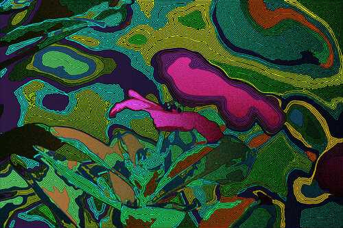 Jardin 101 van Juan Diego Quintero López, Digitaal te koop op Singulart