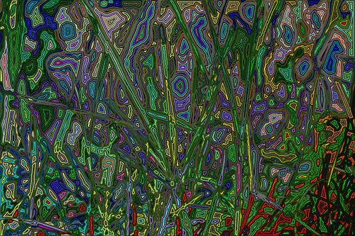 Jardin 107 par Juan Diego Quintero López, Digital en vente sur Singulart