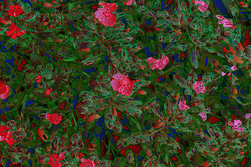 Jardin 110 di Juan Diego Quintero López, Digitale in vendita su Singulart