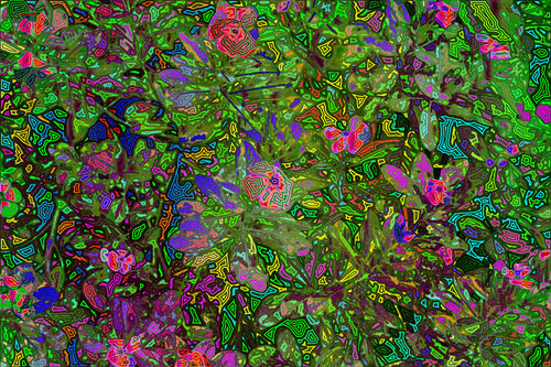 Jardin 111 di Juan Diego Quintero López, Digitale in vendita su Singulart