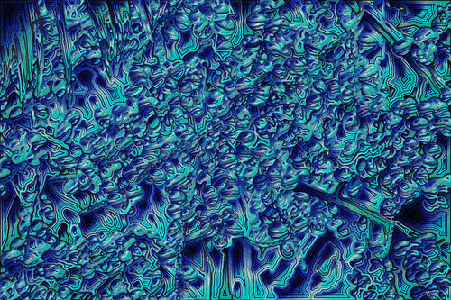 Jardin 1121 par Juan Diego Quintero López, Digital en vente sur Singulart