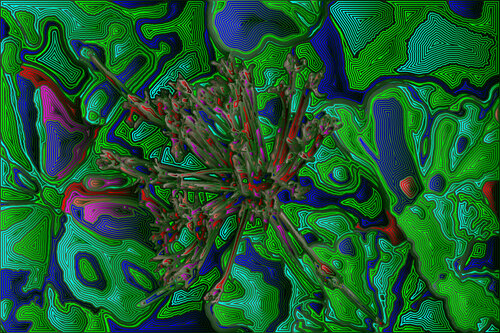 Jardin 113 par Juan Diego Quintero López, Digital en vente sur Singulart