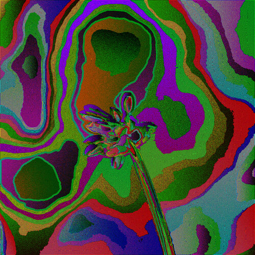 Jardin 1151 par Juan Diego Quintero López, Digital en vente sur Singulart
