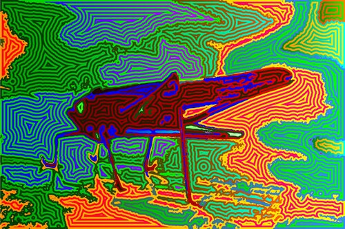 Grillo 200 di Juan Diego Quintero López, Digitale in vendita su Singulart