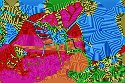 Mariposa 101 von Juan Diego Quintero López, Digital kaufen auf Singulart