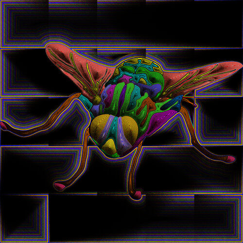 Mosca 101 par Juan Diego Quintero López, Digital en vente sur Singulart