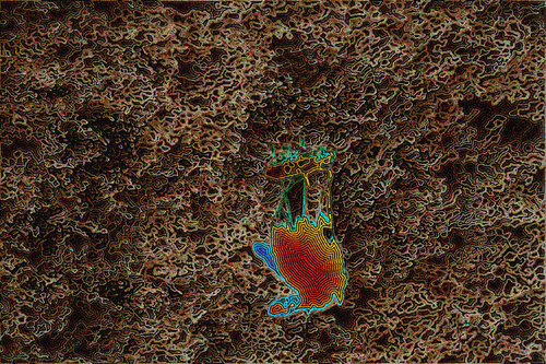 Mosca 104 van Juan Diego Quintero López, Digitaal te koop op Singulart
