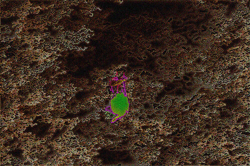 Mosca 1043 by Juan Diego Quintero López, Digital for Sale on Singulart