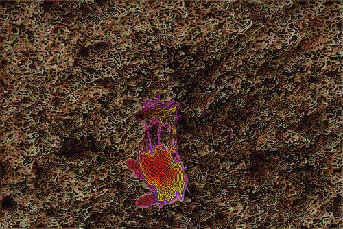 Mosca 104 par Juan Diego Quintero López, Digital en vente sur Singulart