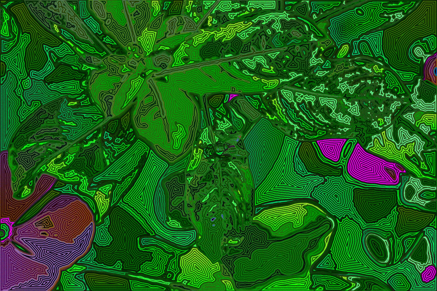 Jardin 106 Juan Diego Quintero López Digitale in vendita