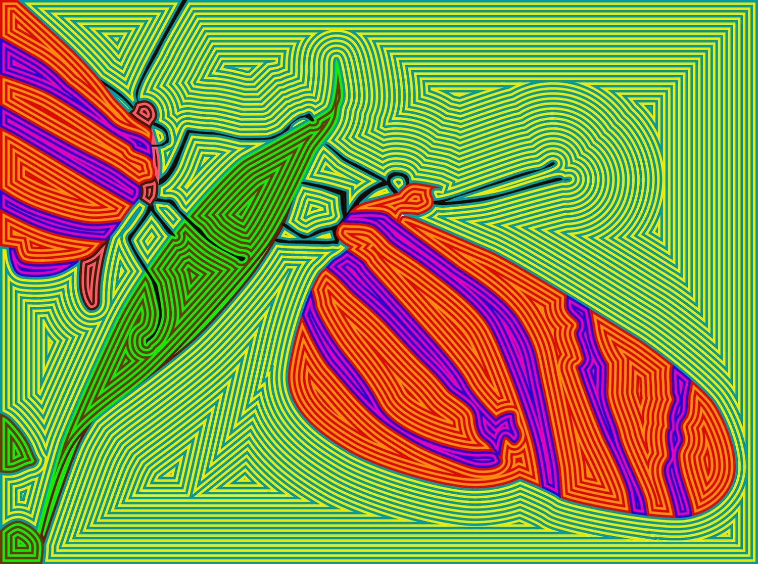 Mariposa 100 Juan Diego Quintero López