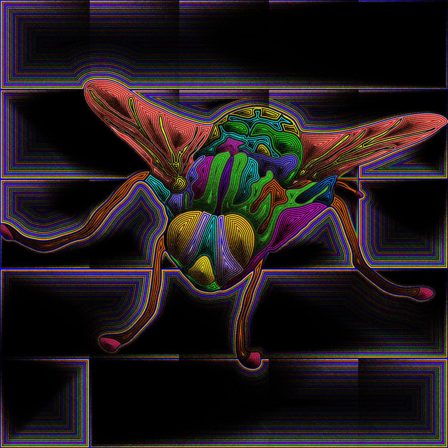 Mosca 101 Juan Diego Quintero López