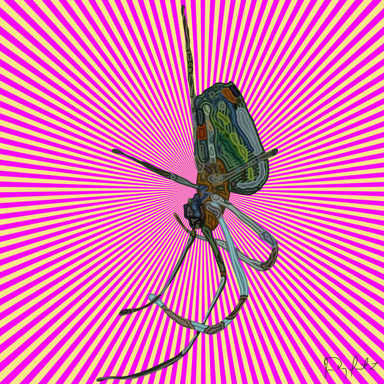 Araña 1001 Juan Diego Quintero López Digital zu verkaufen