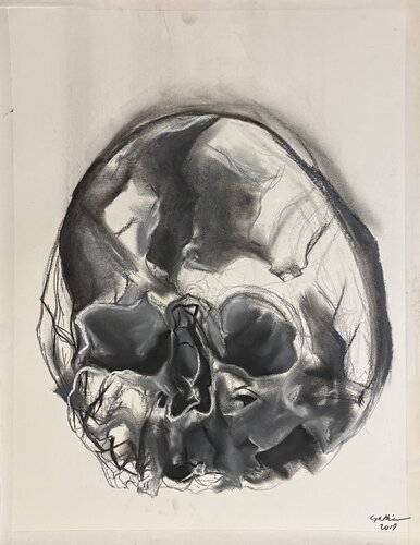 Skull upper part van Cynthia Ruffin Simon, Werk op papier te koop op Singulart
