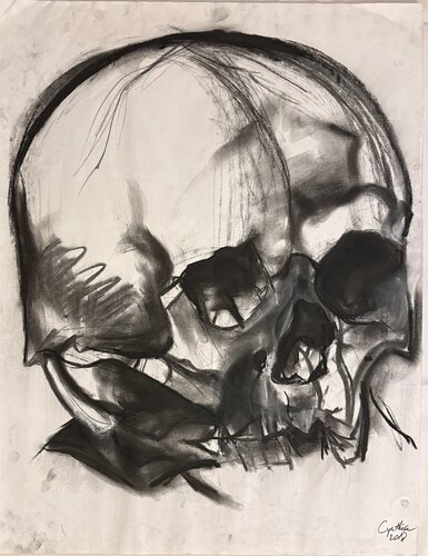 Skull front di Cynthia Ruffin Simon, Opera su carta in vendita su Singulart