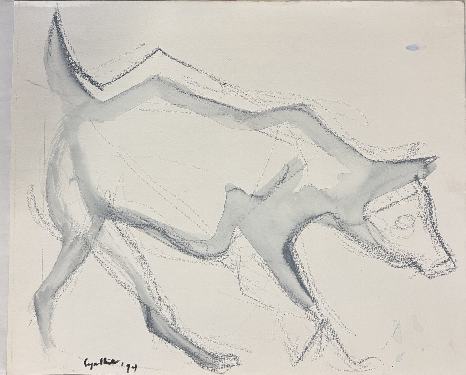 Balinese stray dog Cynthia Ruffin Simon