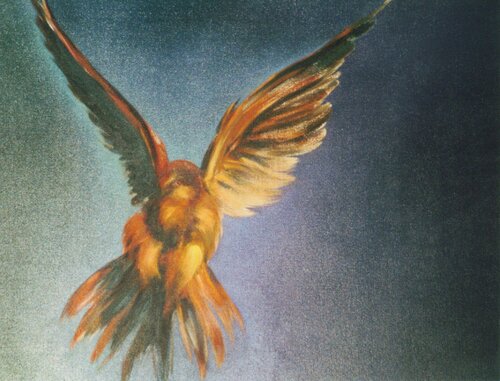 Minimal Tonal Hawk di Marie Christine Devriendt, Pittura in vendita su Singulart