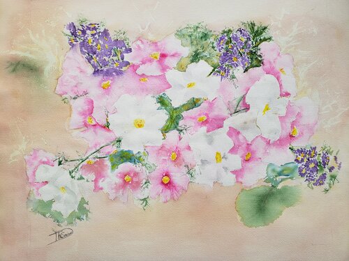 Cosmos roses van Thérèse SORIANO, Schilderij te koop op Singulart