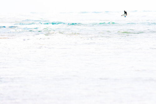 Surfer van Tal Paz-Fridman, Fotografie te koop op Singulart