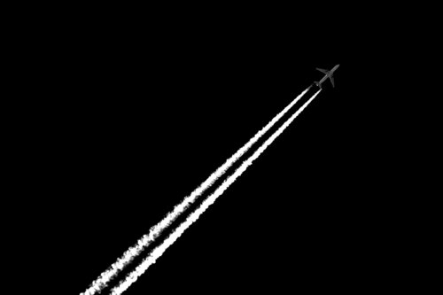 Black and White by Tal Paz-Fridman, 写真 for Sale on Singulart