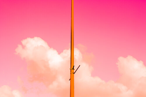 The Pink Half by Tal Paz-Fridman, Photography for Sale on Singulart