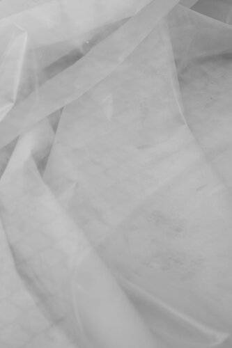 Layers von Costina Stan, Fotografie kaufen auf Singulart