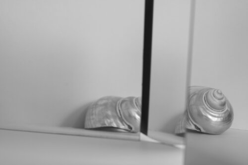 Split par Costina Stan, Photographie en vente sur Singulart