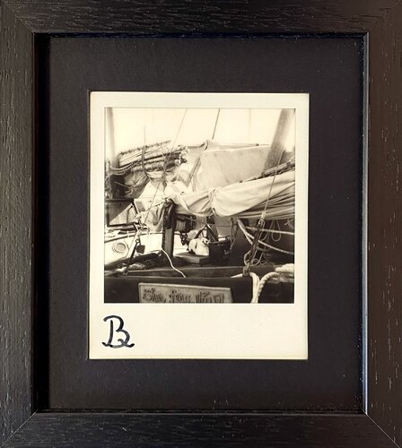 Chat marin by Quentin Badran, 写真 for Sale on Singulart