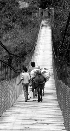 The wooden bridge von Sonia Costa, Fotografie kaufen auf Singulart