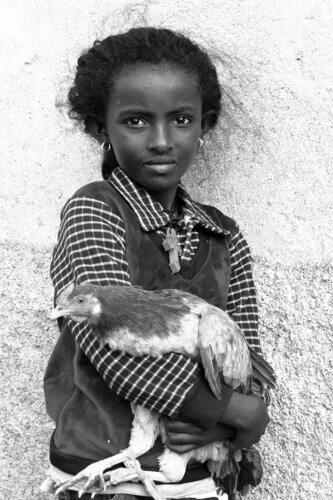 Girl with the hen par Sonia Costa, Photographie en vente sur Singulart