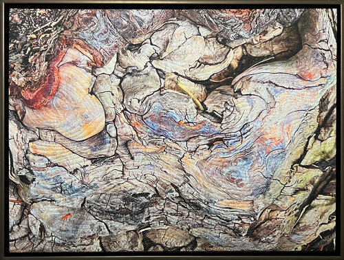 Innuendo 12- Roots van Marilyn Henrion, Textiel te koop op Singulart