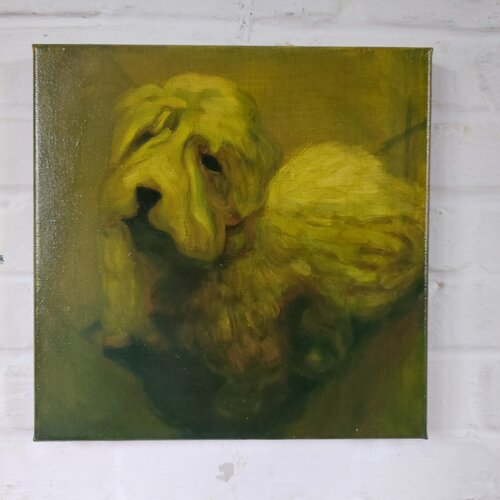 Pet by Patrick Vertenten, Painting for Sale on Singulart