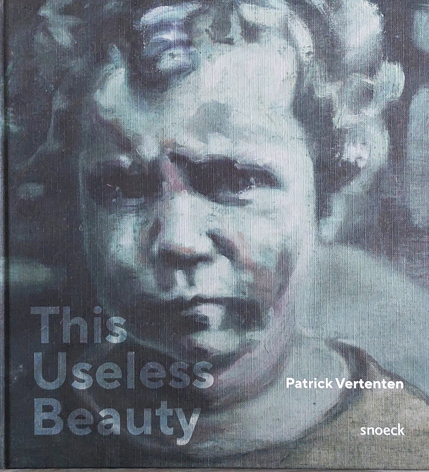 This Useless Beauty (Book) Patrick Vertenten