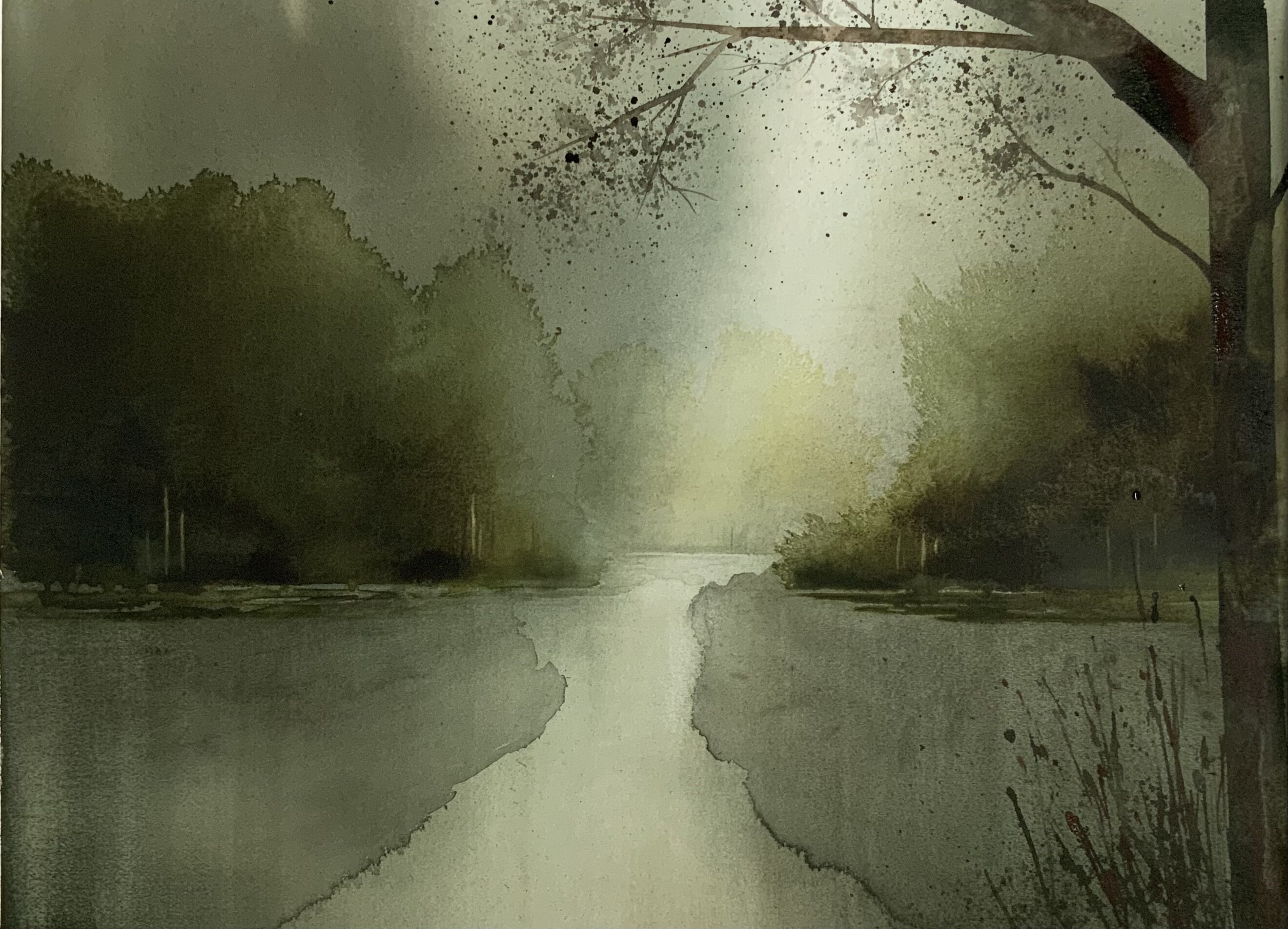 Quello che vidi nel bosco