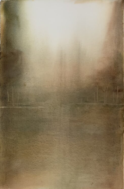Aus dem  Zyklus Auenlandschaft Siegfried Krön