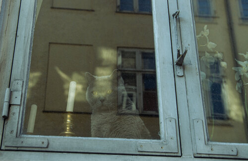 Window #1285 von Popi Tsoukatou, Fotografie kaufen auf Singulart