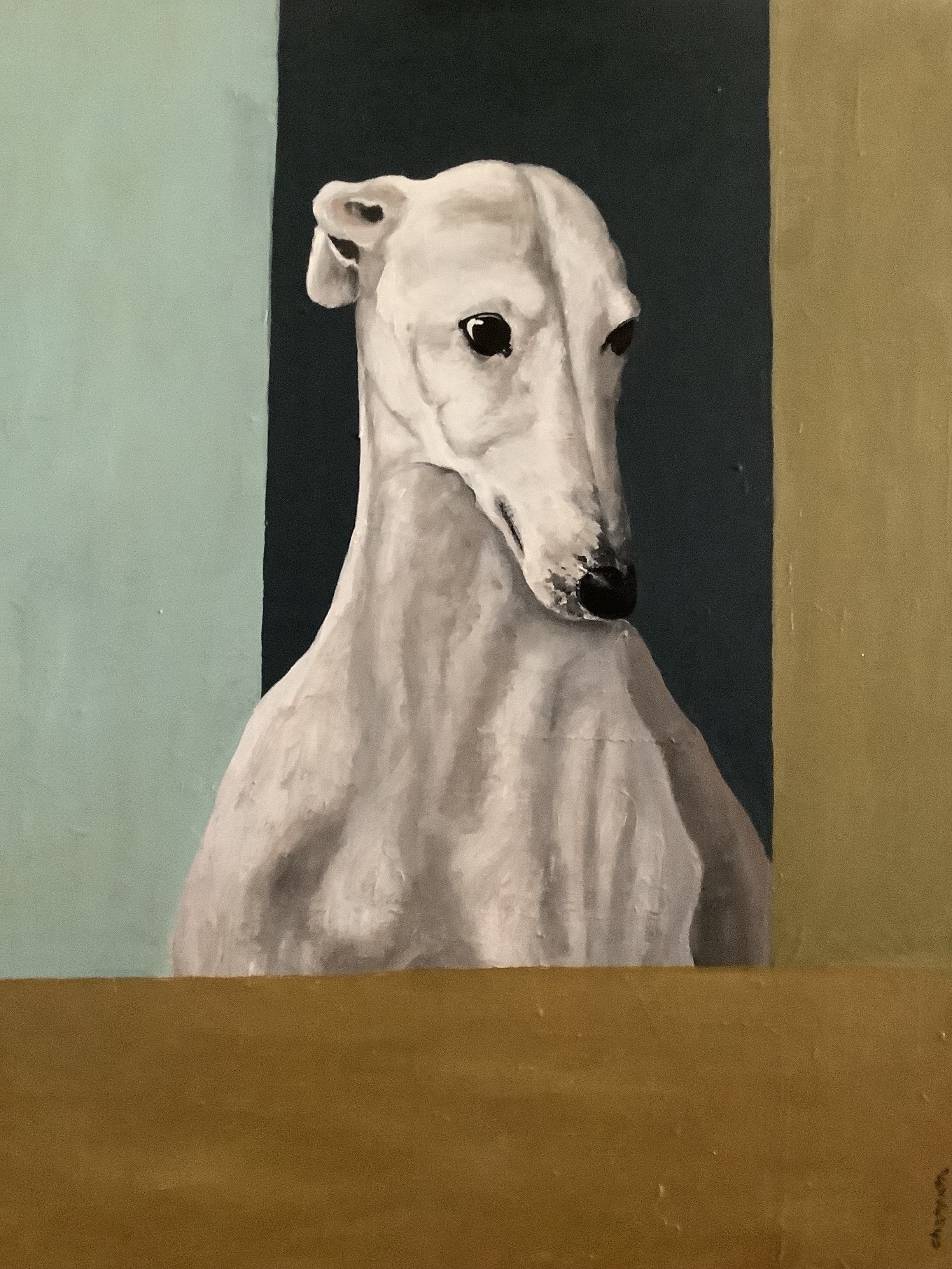 Tema Galgo Pinturas
