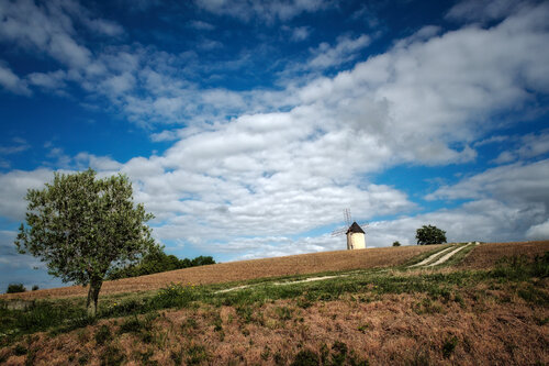 Moulin à vent de Granié - 06 di PATRICIA BALITRAND, Fotografia in vendita su Singulart