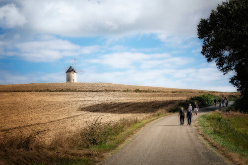 Moulin à vent de Granié - 08 by PATRICIA BALITRAND, Photography for Sale on Singulart