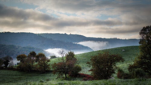 Paysage de Sénezergues - 03 de PATRICIA BALITRAND, Fotografía a la venta en Singulart