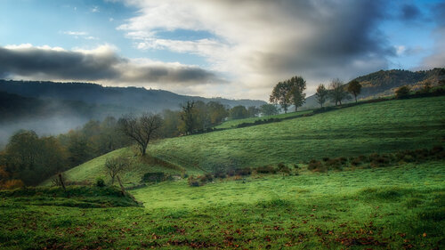 Paysage de Sénezergues - 04 de PATRICIA BALITRAND, Fotografía a la venta en Singulart