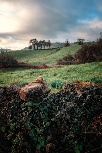 Paysage de Sénezergues - 05 de PATRICIA BALITRAND, Fotografía a la venta en Singulart