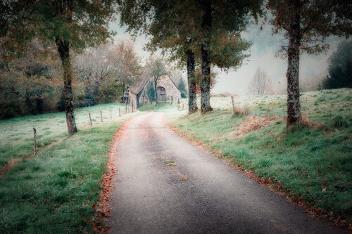 Paysage de Sénezergues - 07 van PATRICIA BALITRAND, Fotografie te koop op Singulart