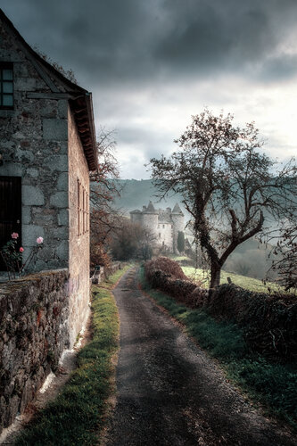 Le château de Sénezergues - 03 di PATRICIA BALITRAND, Fotografia in vendita su Singulart