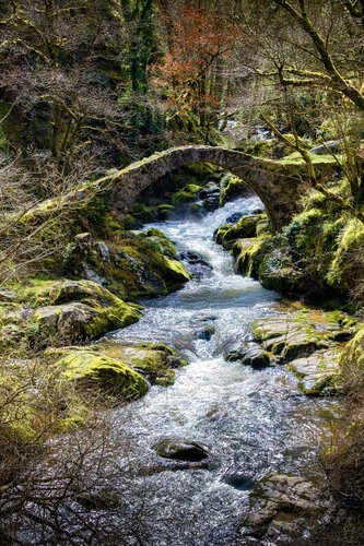 Le pont du Parayre à Peyrusse le Roc - 01 van PATRICIA BALITRAND, Fotografie te koop op Singulart