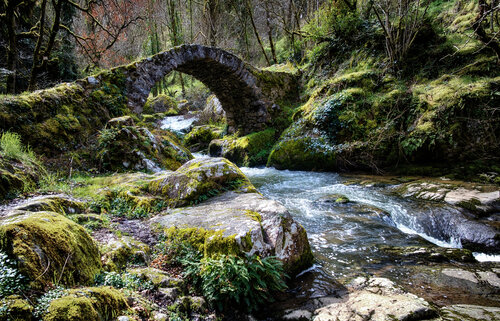 Le pont du Parayre à Peyrusse le Roc - 02 van PATRICIA BALITRAND, Fotografie te koop op Singulart