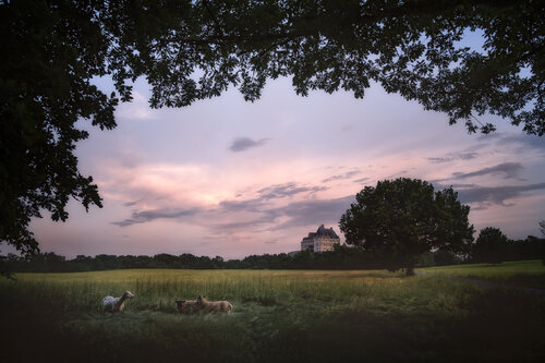 Les Veilleurs du Crépuscule van PATRICIA BALITRAND, Fotografie te koop op Singulart