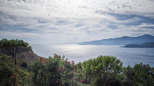 L’Horizon Argenté, Cap Béar par PATRICIA BALITRAND, Photographie en vente sur Singulart